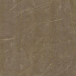 GRIGIO TAUPE SOFT POL NATURAL LOOK 900x900x11