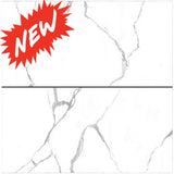 ROMA STATUARIO POL 1200X600X10