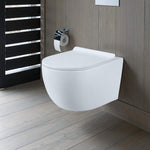 WHITE DANTE RIMLESS WALL HUNG TOILET